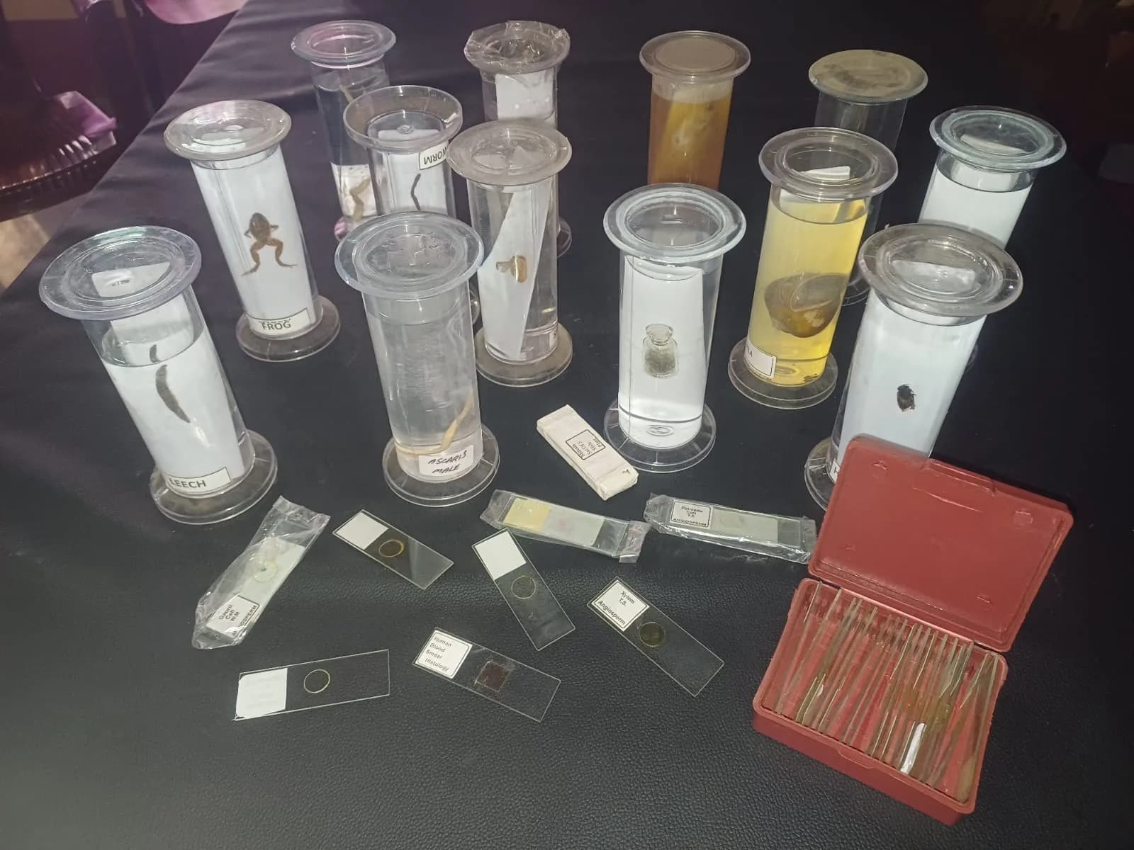 Biology Laboratory - View 1